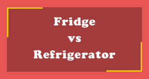 Fridge vs Refrigerator